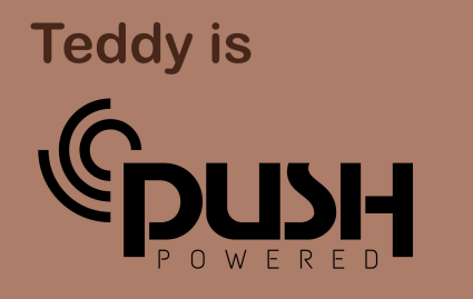 Teddy the RPG - powered by the PUSH system