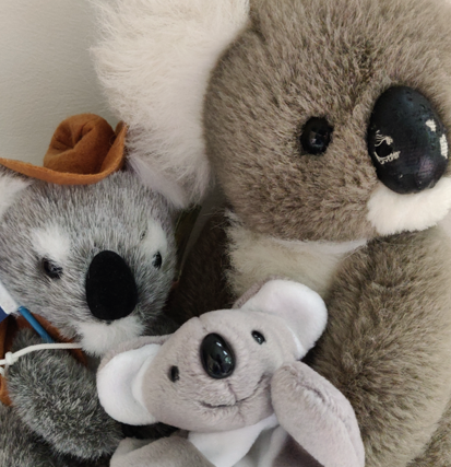 koala bear squad for Teddy the RPG
