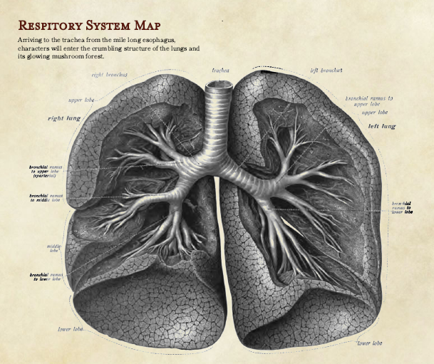 The God Corpse D&D 5e adventure lungs map 